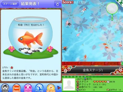 金魚すくい