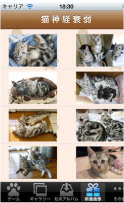 猫神経衰弱
