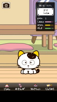 タマさんぽ