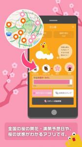 桜のきもち
