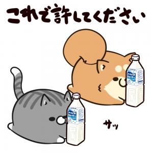 もふ屋