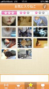 ねこまみれ