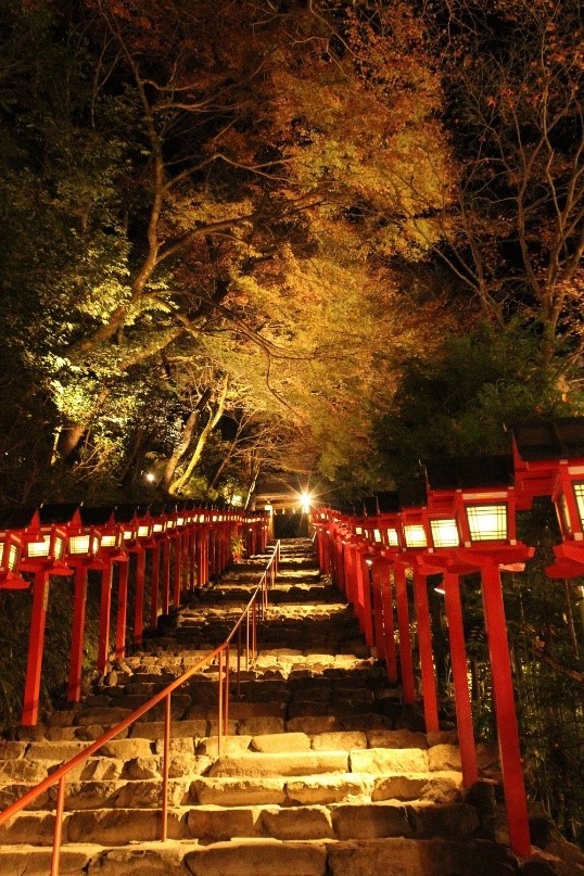 紅葉と灯籠のライトアップ「京の奥座敷・貴船もみじ灯篭」開催
