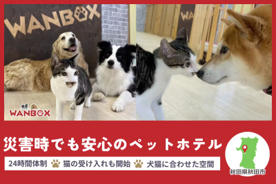 トピック