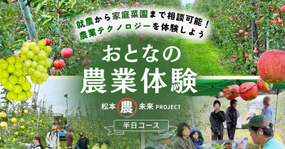 アクティビティ