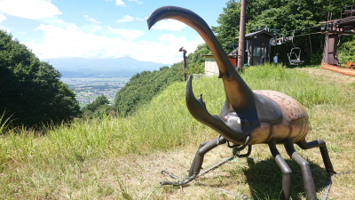アクティビティ
