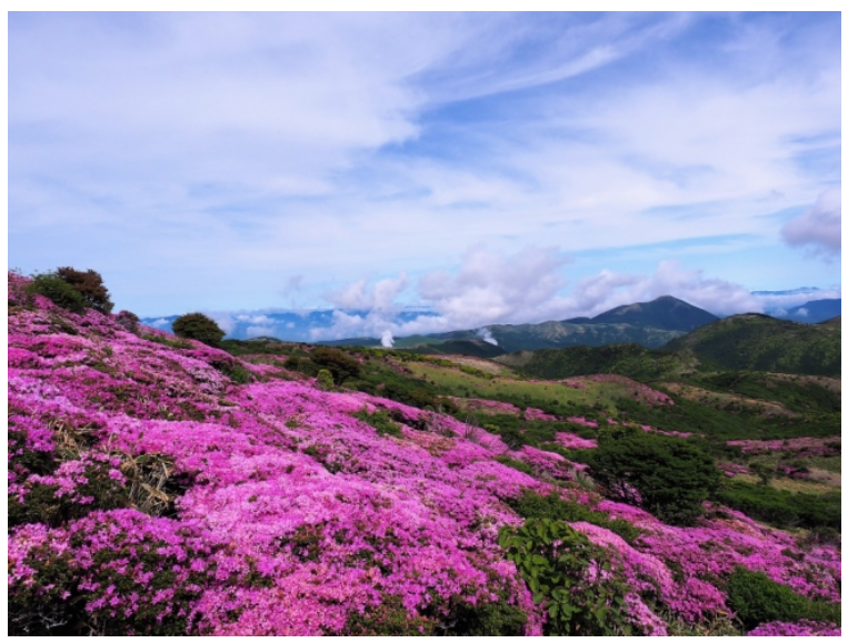 大分県