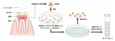 ウーマンNS