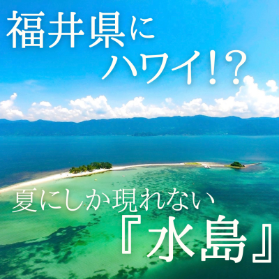トラベル