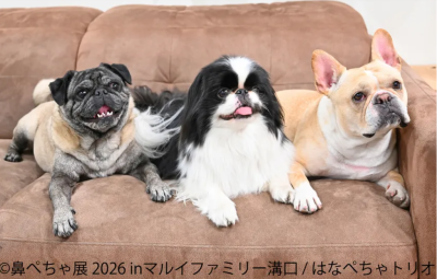 トピック