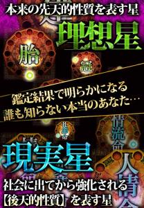 口コミ