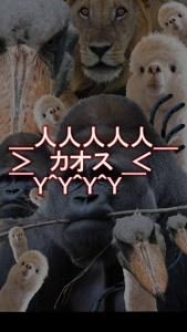 カオスどうぶつ診断